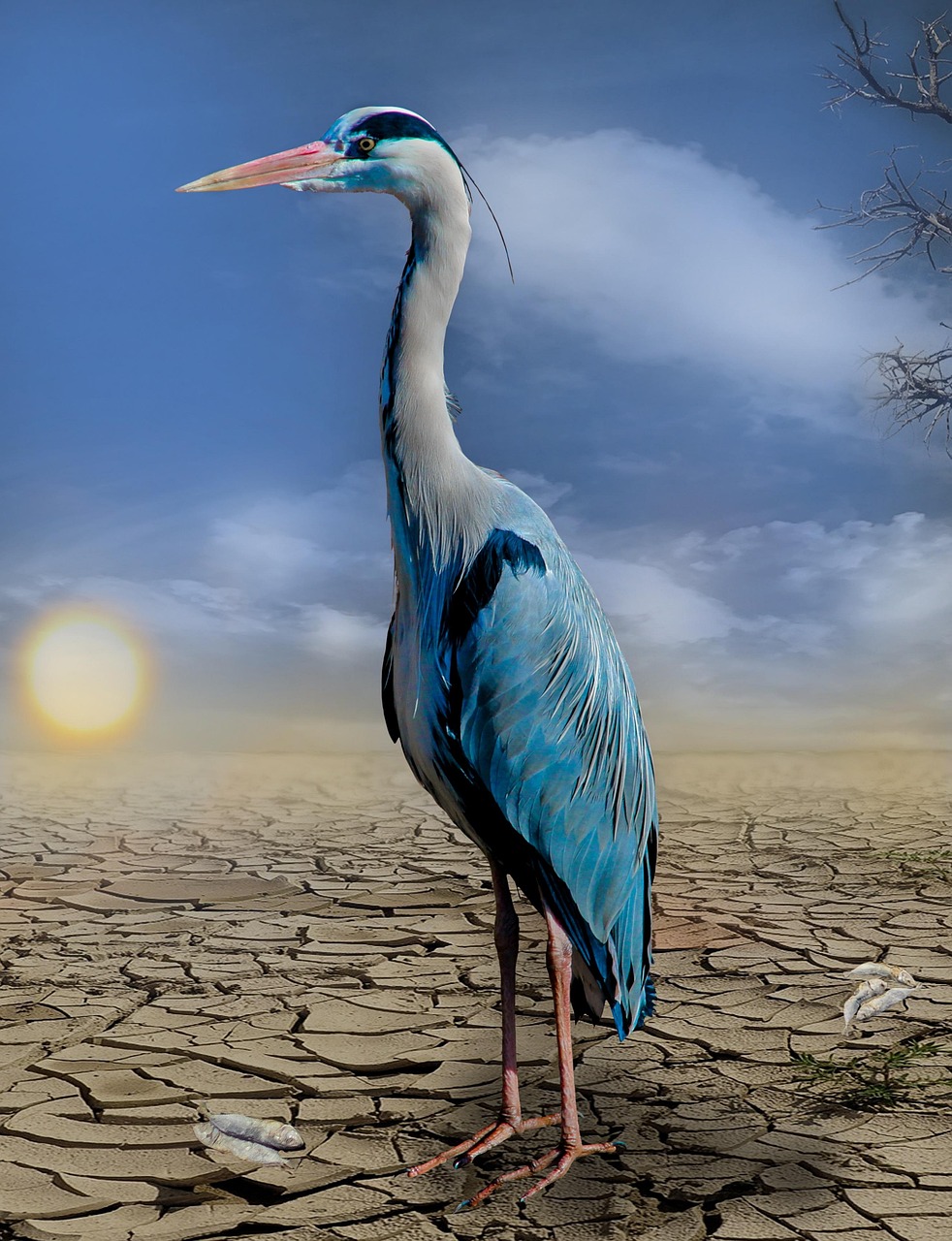 Was bedeutet der Klimawandel für unsere Ernährung?